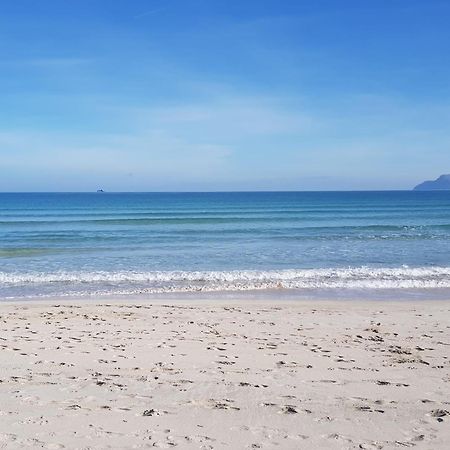 Ideal Property Mallorca - Sa Vinya Vella อัลกูเดีย ภายนอก รูปภาพ